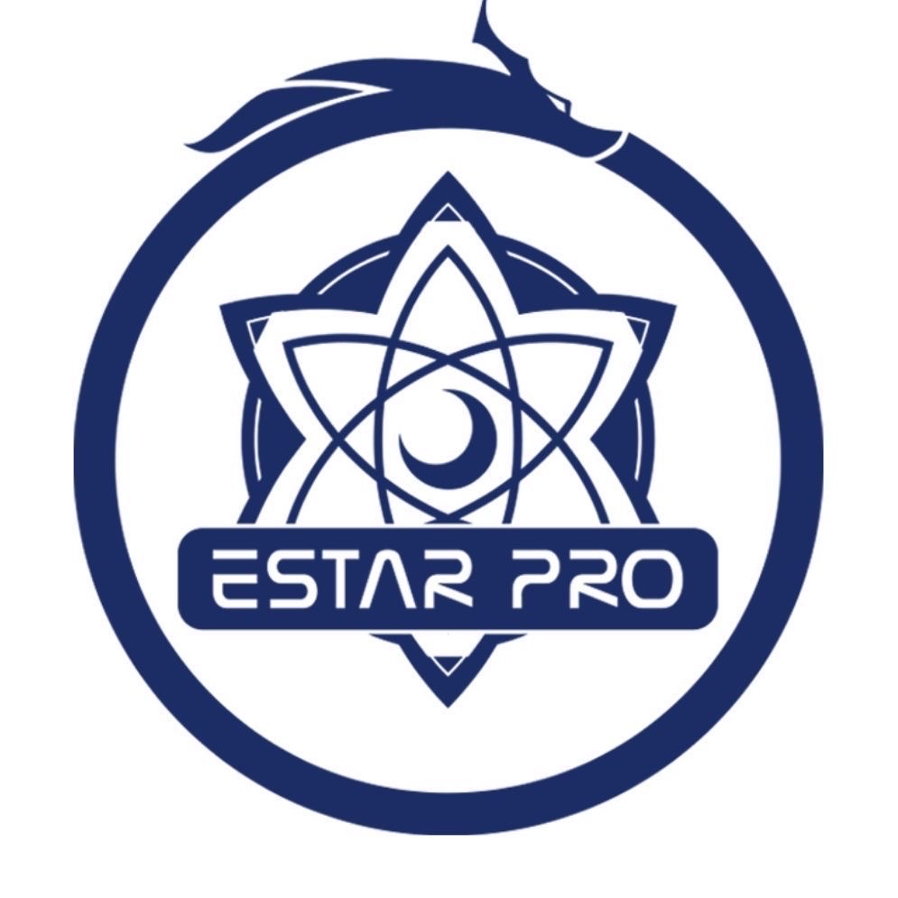Top Esports